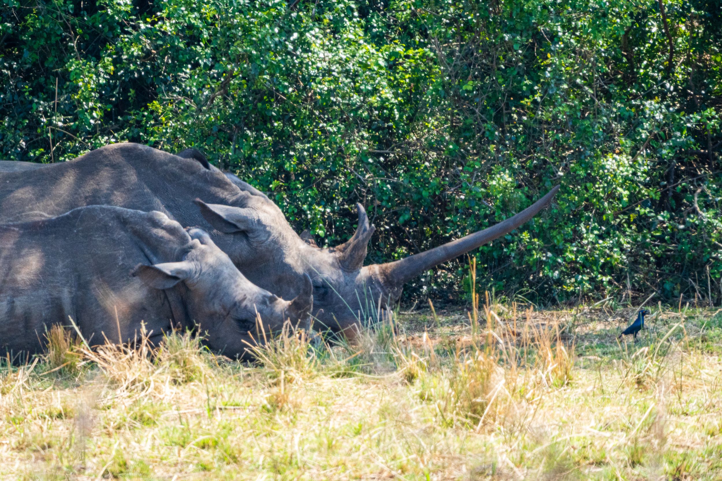 20230930 105502 Fotobuch Südafrika 01962